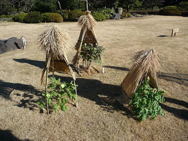 Traditional Japanese Gardening 6