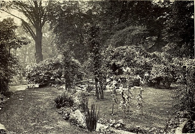 Traditional Japanese Gardening