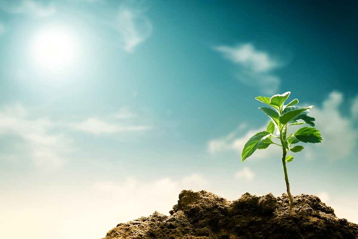 Cultivating by Climate