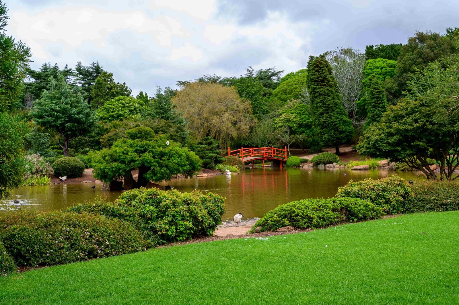 Brescia Lake Garden